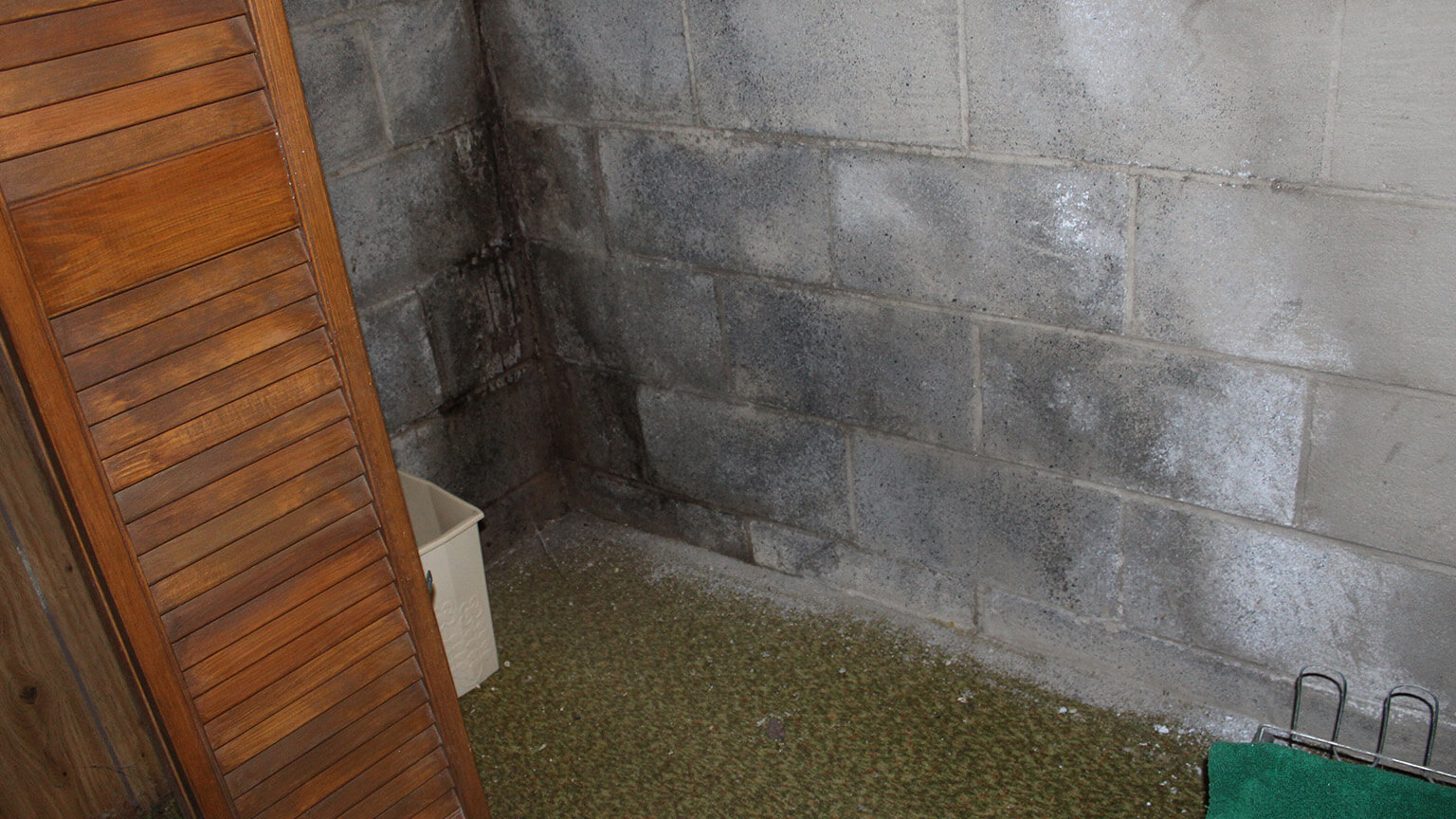 Efflorescence on Walls or Floor