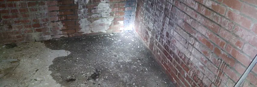 basement drainage system